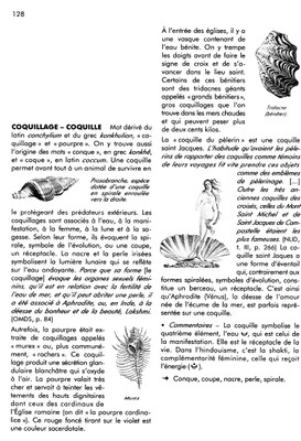 coquille-HN - small