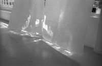 inlight of things b&w 29h inlight of things b&w 29h