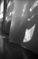 inlight of things b&w 82v