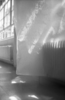 inlight of things b&w v17 inlight of things b&w v17