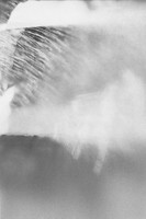 inlight of things b&w v55 inlight of things b&w v55